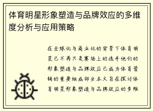 体育明星形象塑造与品牌效应的多维度分析与应用策略